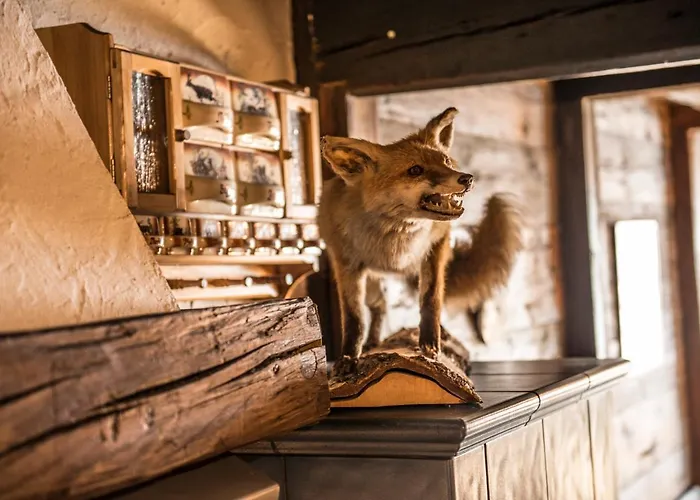 Ahornhuette Gastein *